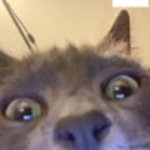 Meet your Posher, Yukki